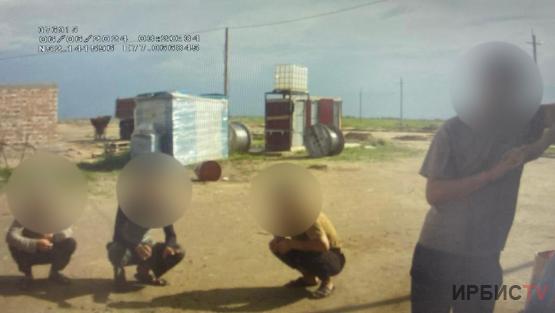 Почти 300 иностранцев нелегально находились в Павлодарской области
